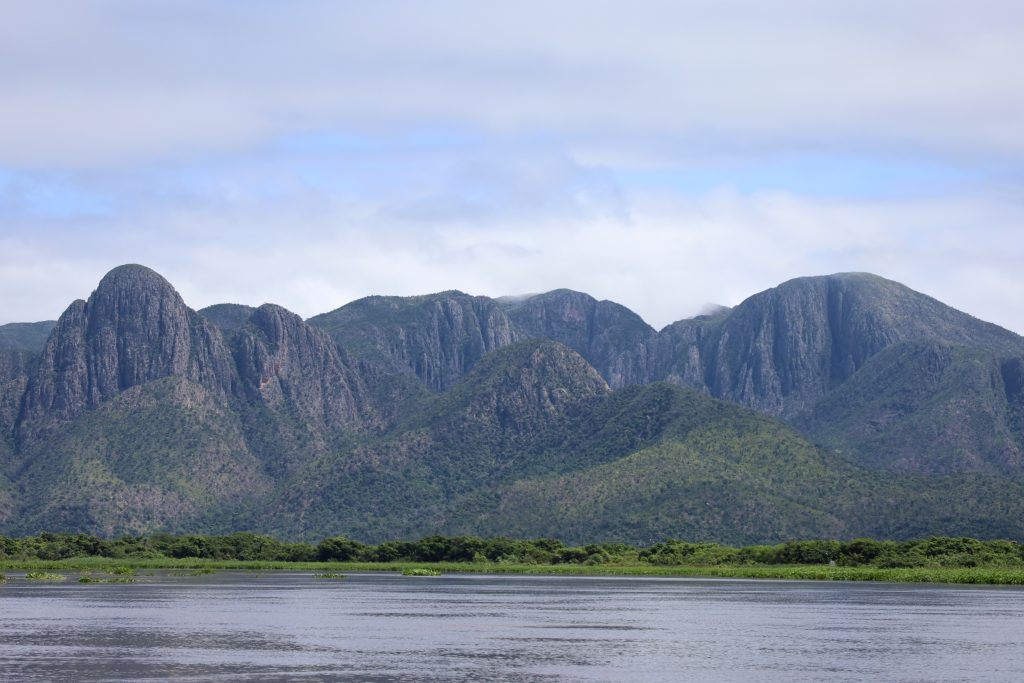 Novo regramento ambiental e monitoramento via satélite ajudam a reduzir supressão vegetal no Pantanal