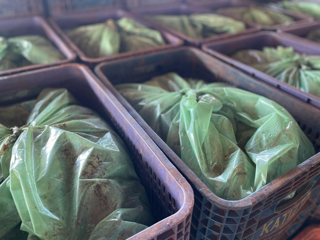 Mandioca é o produto mais comercializado na Ceasa de MS entre os cultivados no Estado Mandioca é o produto mais comercializado na Ceasa de MS entre os cultivados no Estado