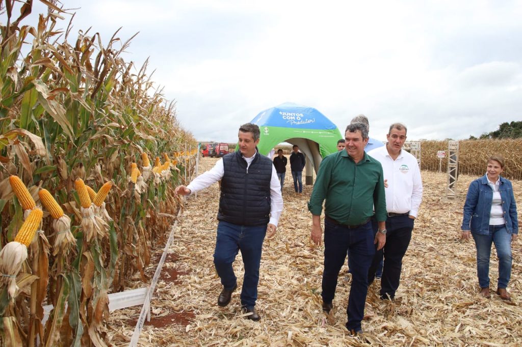 Governo de MS discute novas tecnologias e modelos para impulsionar produção de milho Governo de MS discute novas tecnologias e modelos para impulsionar produção de milho
