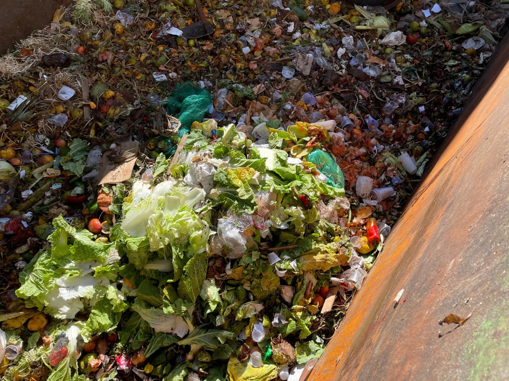 Ceasa de Mato Grosso do Sul reciclou 662 toneladas de resíduos entre janeiro e maio de 2025 Ceasa de Mato Grosso do Sul reciclou 662 toneladas de resíduos entre janeiro e maio de 2025