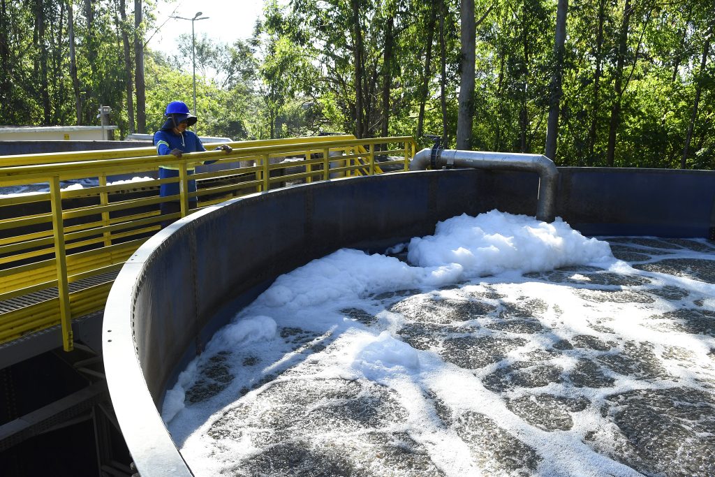 Foto: Reprodução/Secom Mato Grosso do Sul