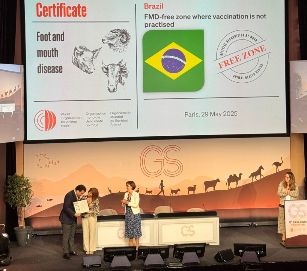Marco histórico: MS recebe status de área livre de aftosa, apto para ampliar mercados da carne Marco histórico: MS recebe status de área livre de aftosa, apto para ampliar mercados da carne