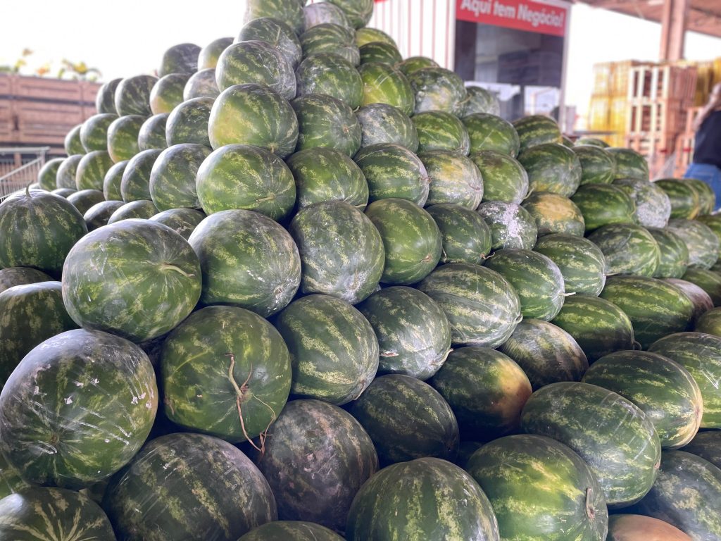 Foto: Reprodução/Secom Mato Grosso do Sul