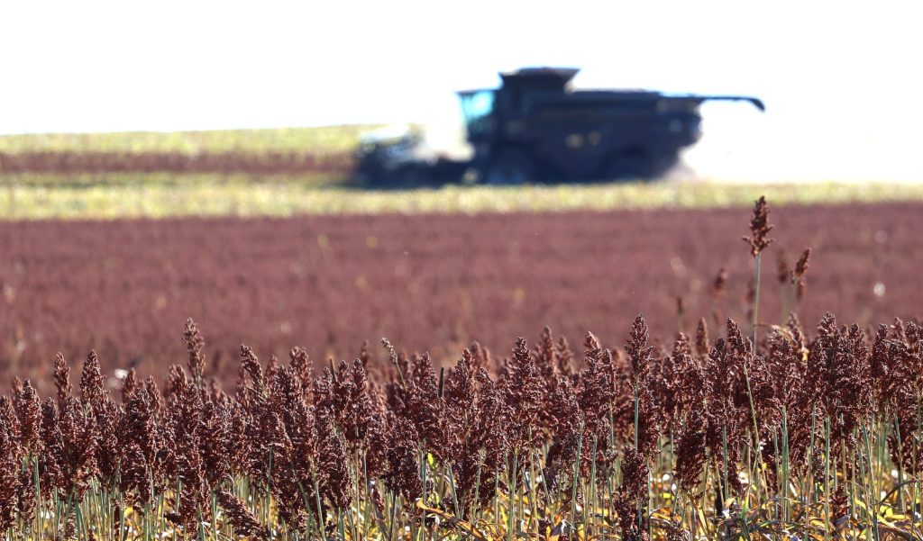 Foto: Reprodução/Secom Mato Grosso do Sul