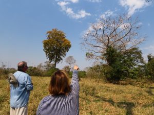 >Observação de aves (Foto: K. Ramalho)