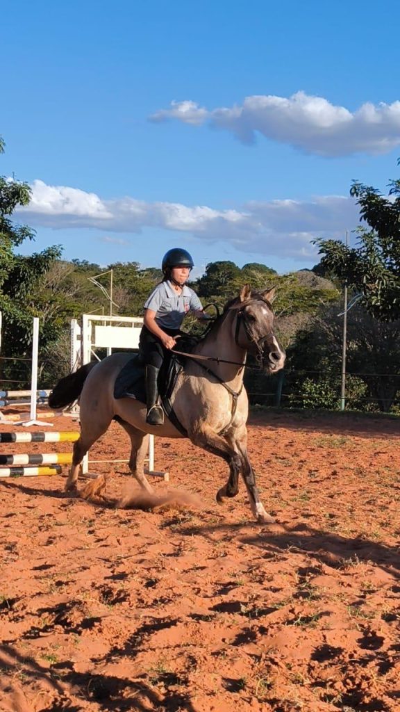 Foto: Reprodução/Secom Mato Grosso do Sul