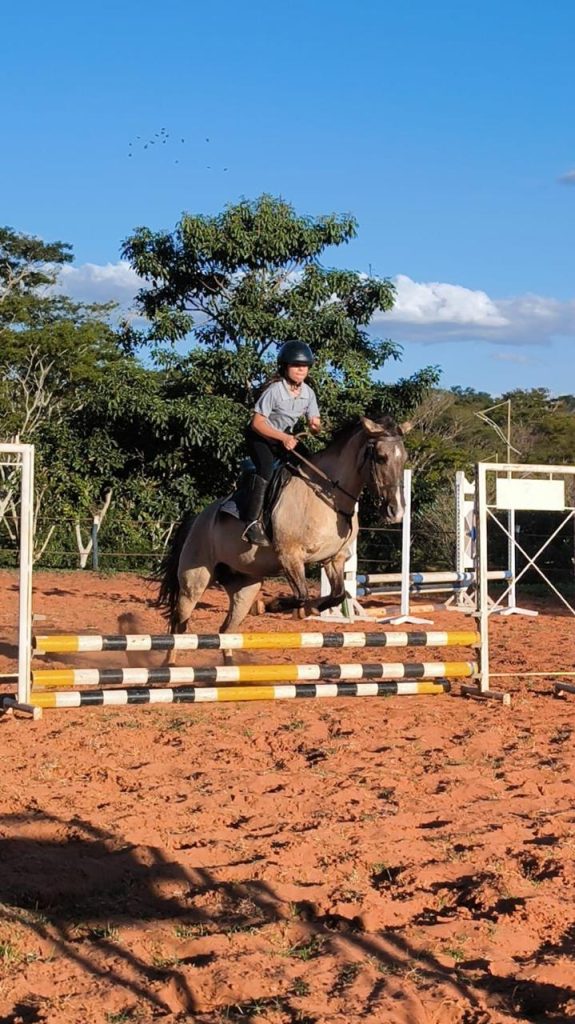 Foto: Reprodução/Secom Mato Grosso do Sul