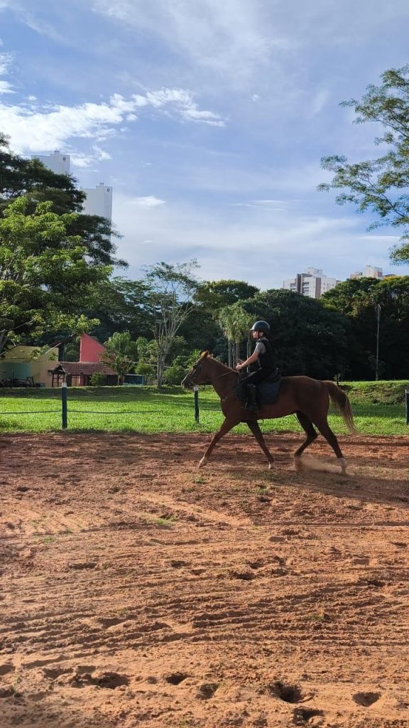 Foto: Reprodução/Secom Mato Grosso do Sul