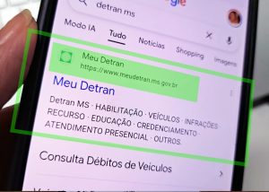  Resultado correto do portal original
