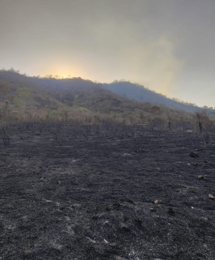 Foto: Reprodução/Secom Mato Grosso do Sul