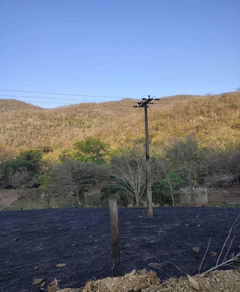 Foto: Reprodução/Secom Mato Grosso do Sul