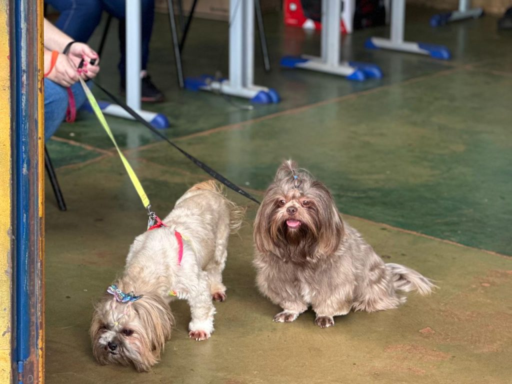 Foto: Reprodução/Secom Mato Grosso do Sul