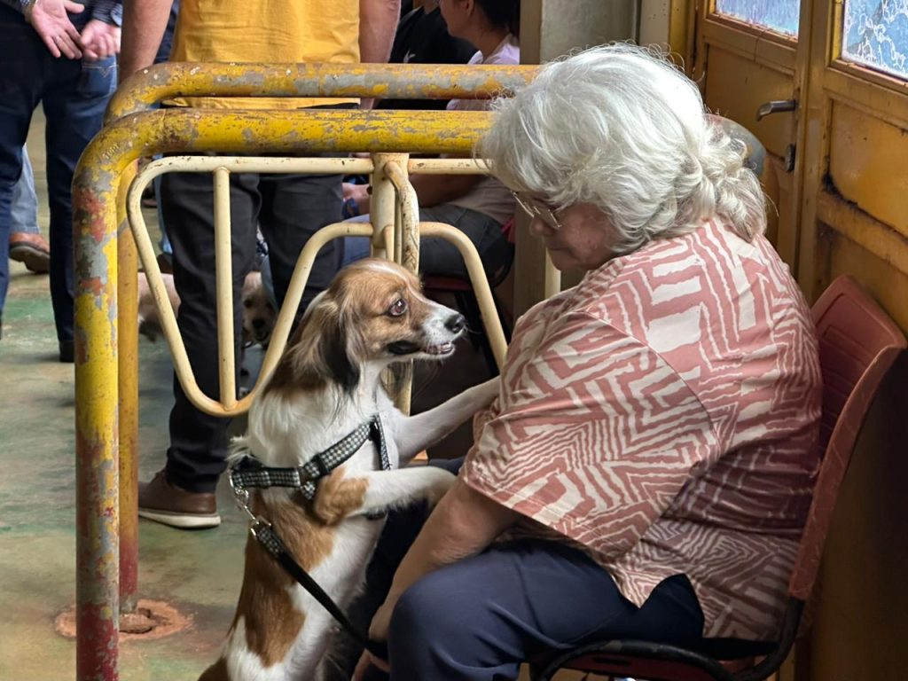 Foto: Reprodução/Secom Mato Grosso do Sul