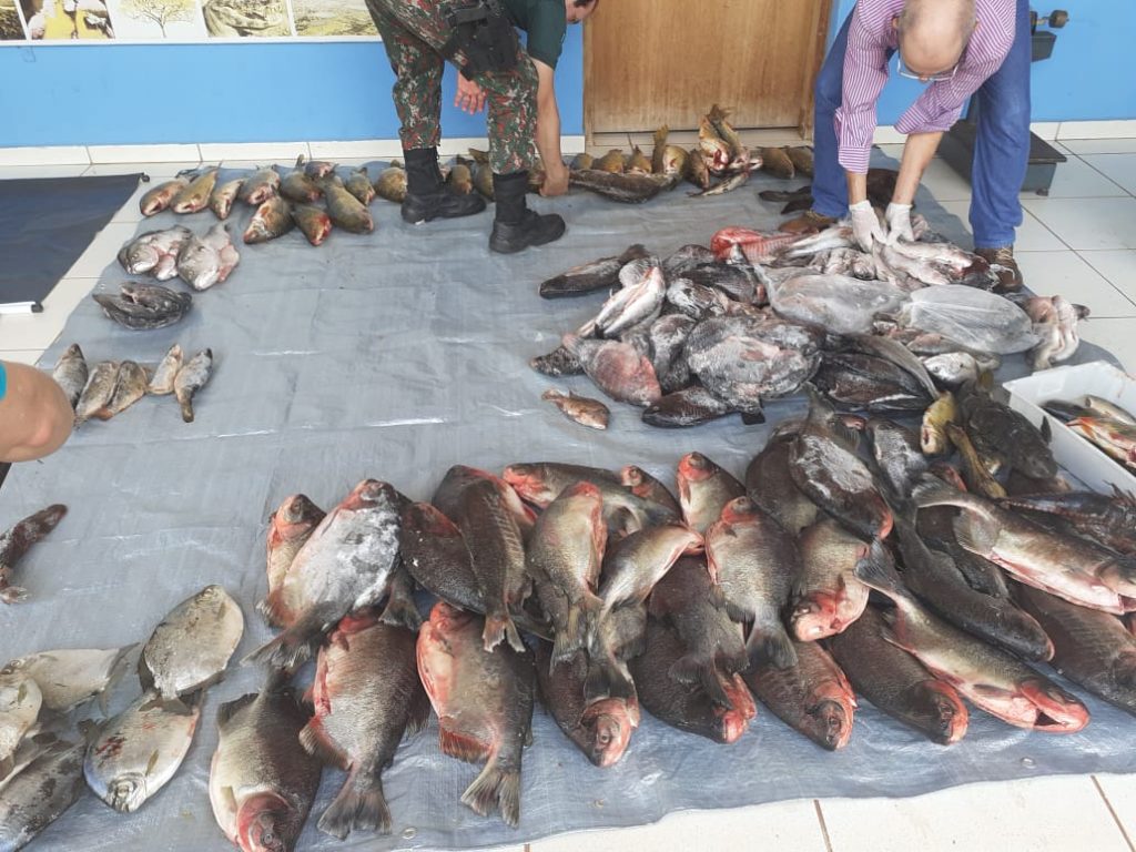 Foto: Reprodução/Secom Mato Grosso do Sul