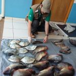 Foto: Reprodução/Secom Mato Grosso do Sul