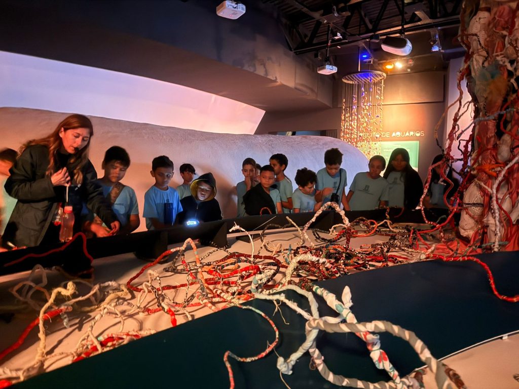 Foto: Reprodução/Secom Mato Grosso do Sul