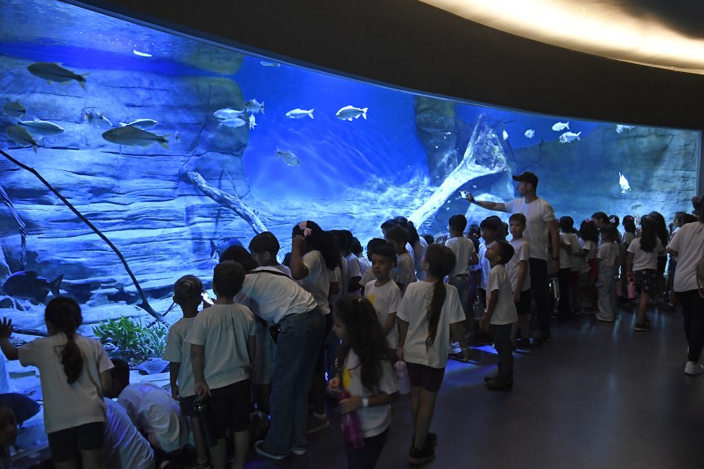 Foto: Reprodução/Secom Mato Grosso do Sul