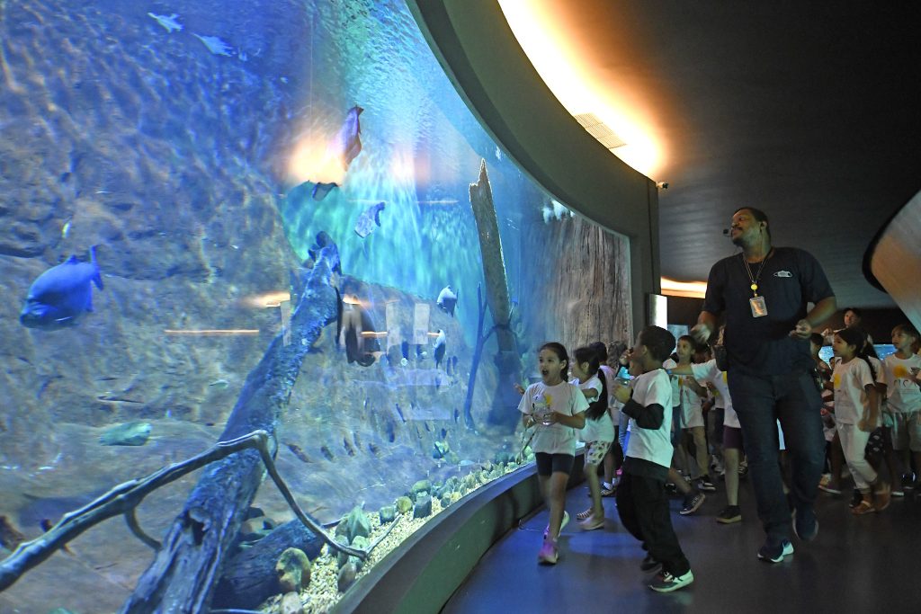 Foto: Reprodução/Secom Mato Grosso do Sul