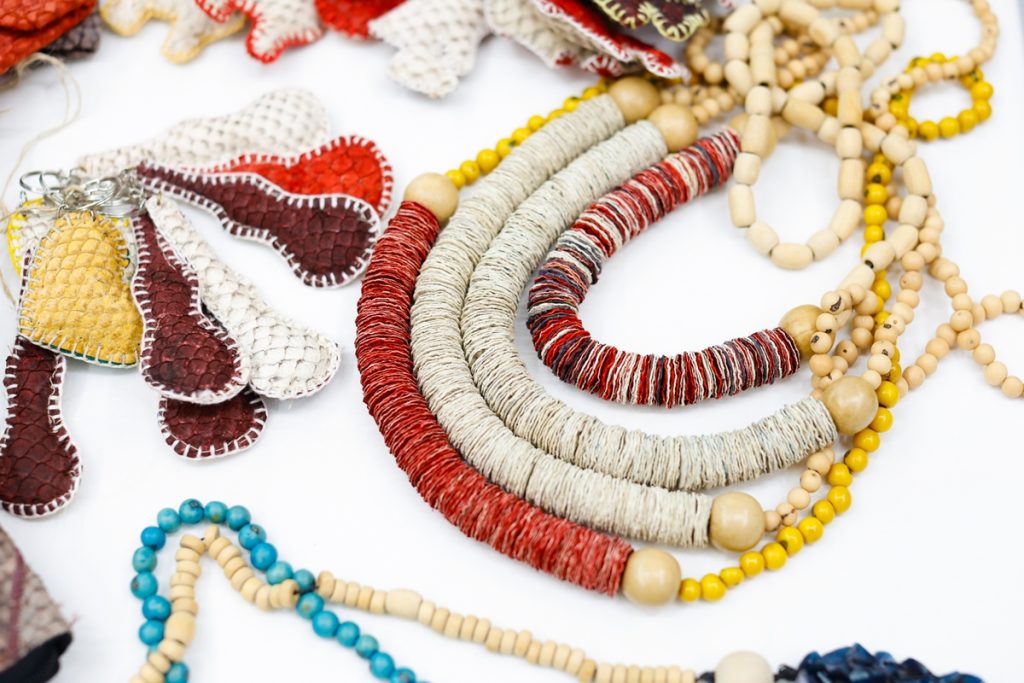 Foto: Reprodução/Secom Mato Grosso do Sul