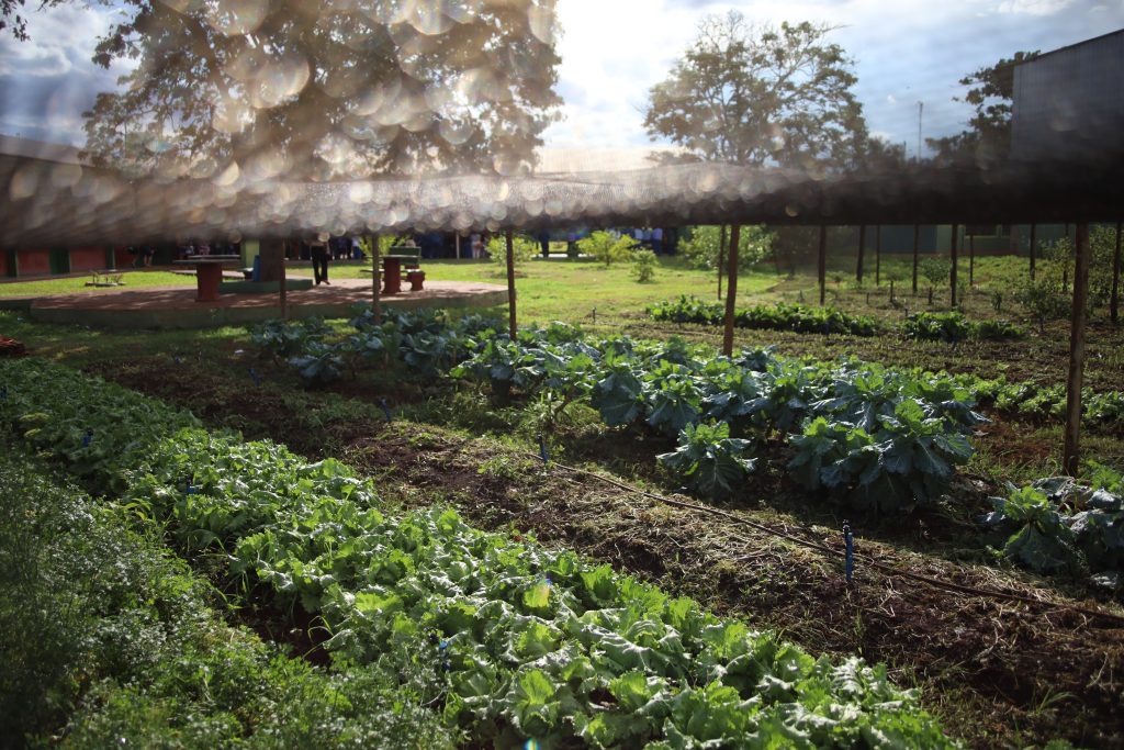 Foto: Reprodução/Secom Mato Grosso do Sul