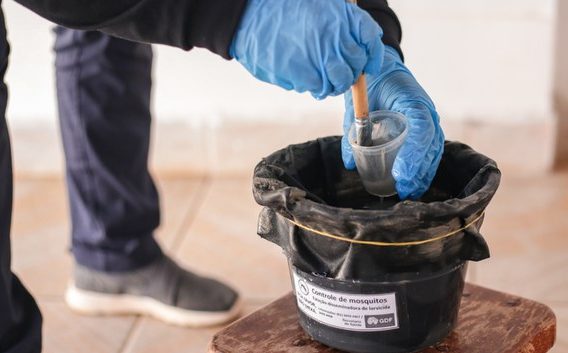 MS se antecipa, alinha estratégias com municípios e reforça controle do Aedes aegypti para 2026