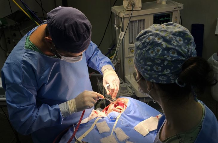 Com investimento do Governo de MS, Hospital Regional retoma cirurgias bucomaxilofaciais Com investimento do Governo de MS, Hospital Regional retoma cirurgias bucomaxilofaciais