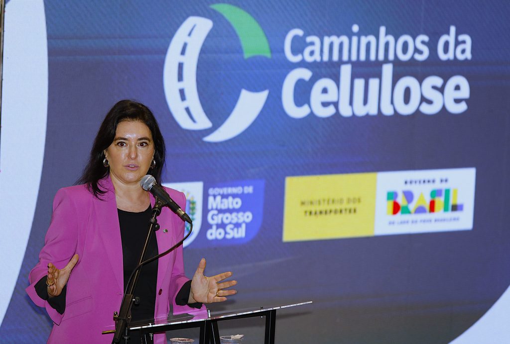 Caminho da Celulose Foto Saul Schramm