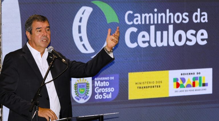 Caminho da Celulose Foto Saul Schramm