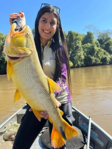 Imasul alerta: temporada de pesca reabre no próximo domingo em Mato Grosso do Sul Imasul alerta: temporada de pesca reabre no próximo domingo em Mato Grosso do Sul