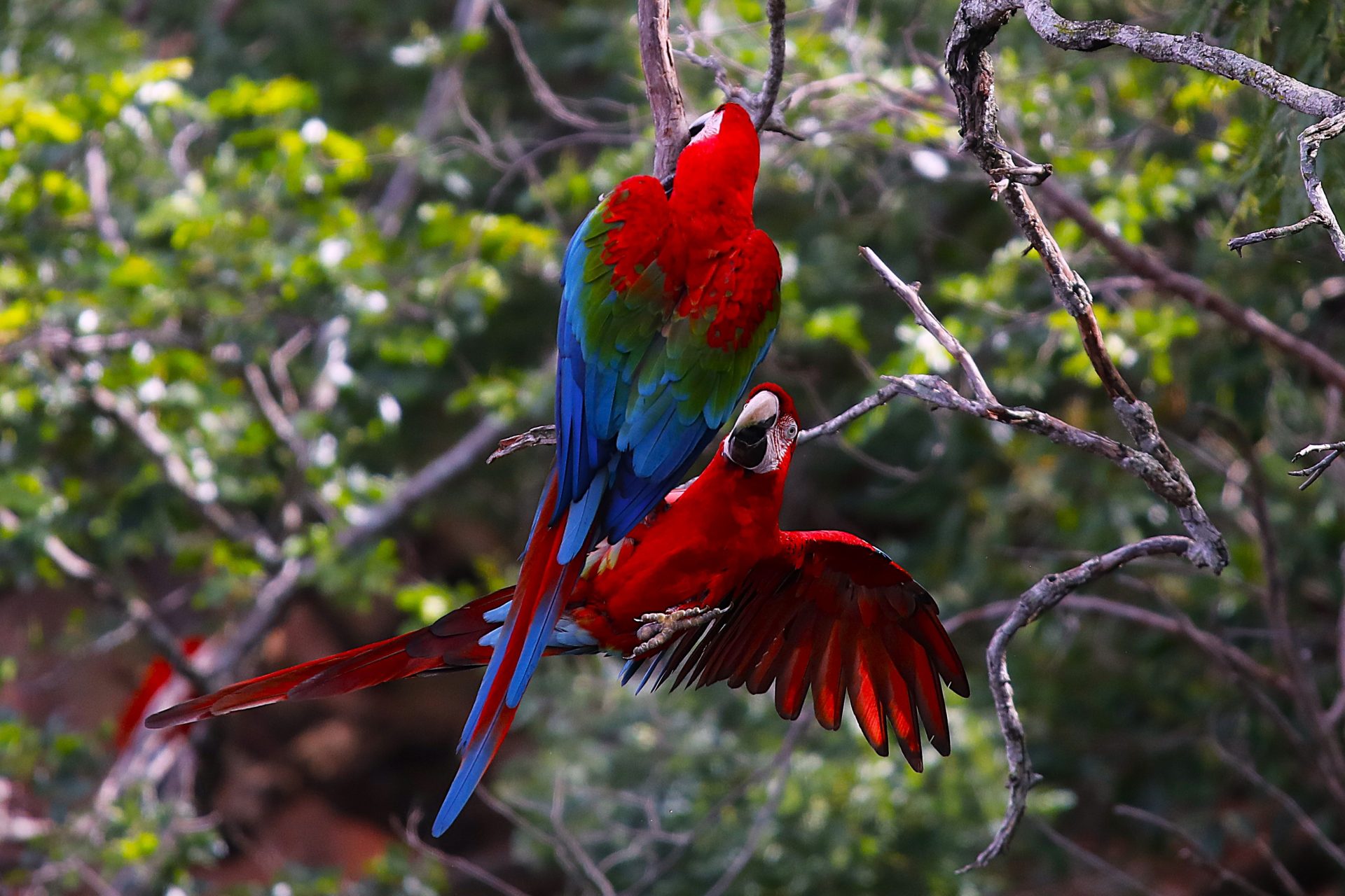 Foto: Reprodução/Secom Mato Grosso do Sul