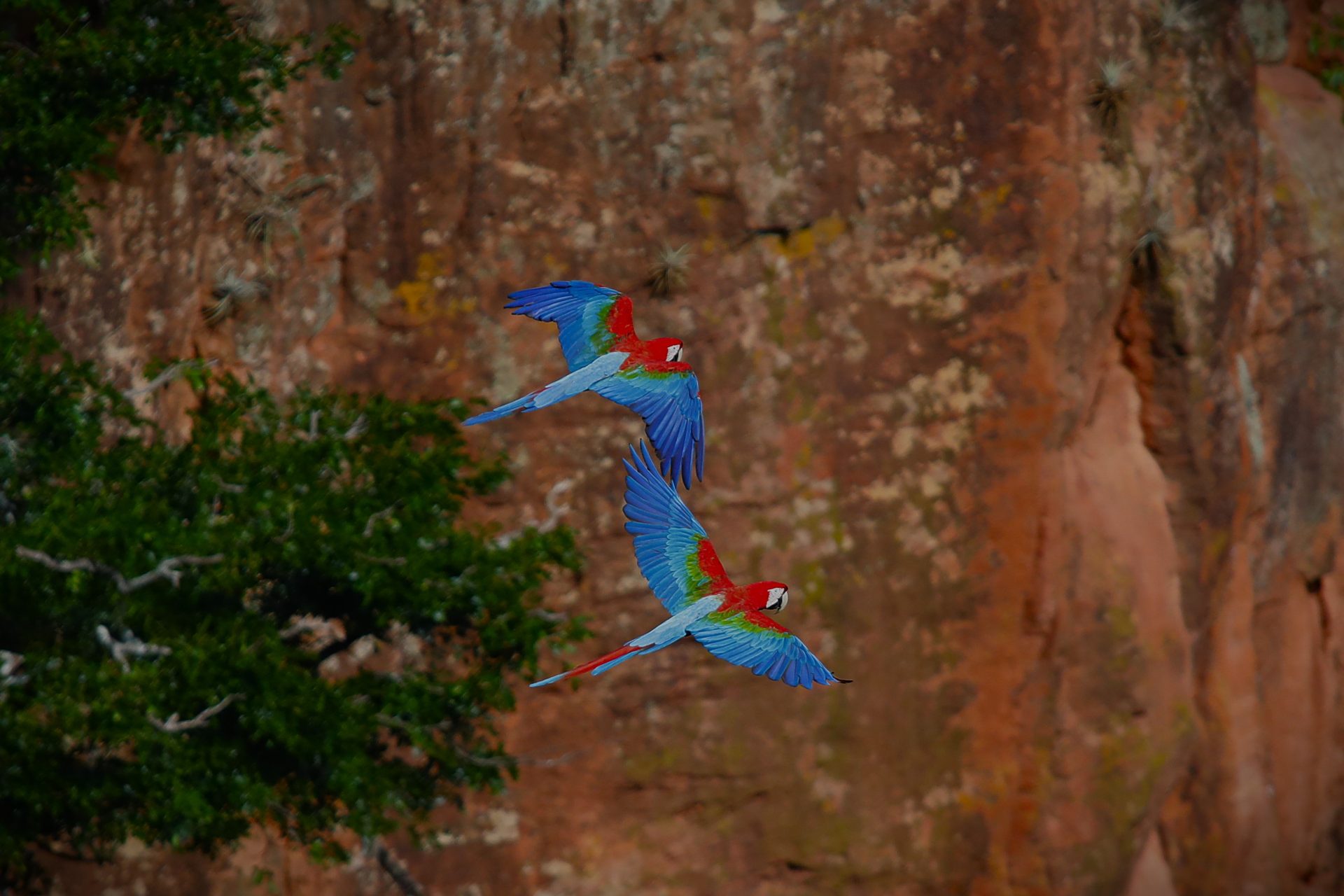 Foto: Reprodução/Secom Mato Grosso do Sul