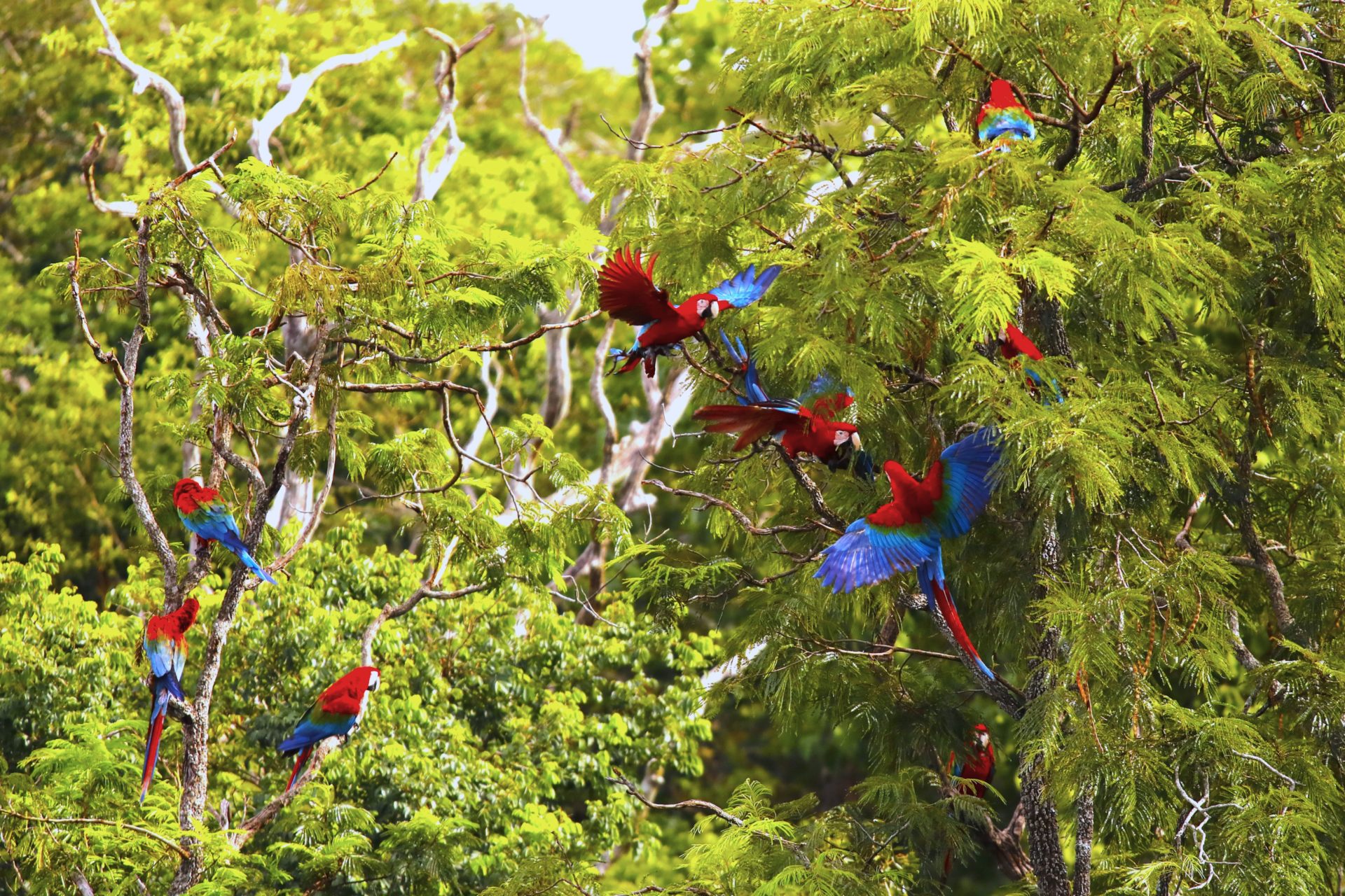 Foto: Reprodução/Secom Mato Grosso do Sul