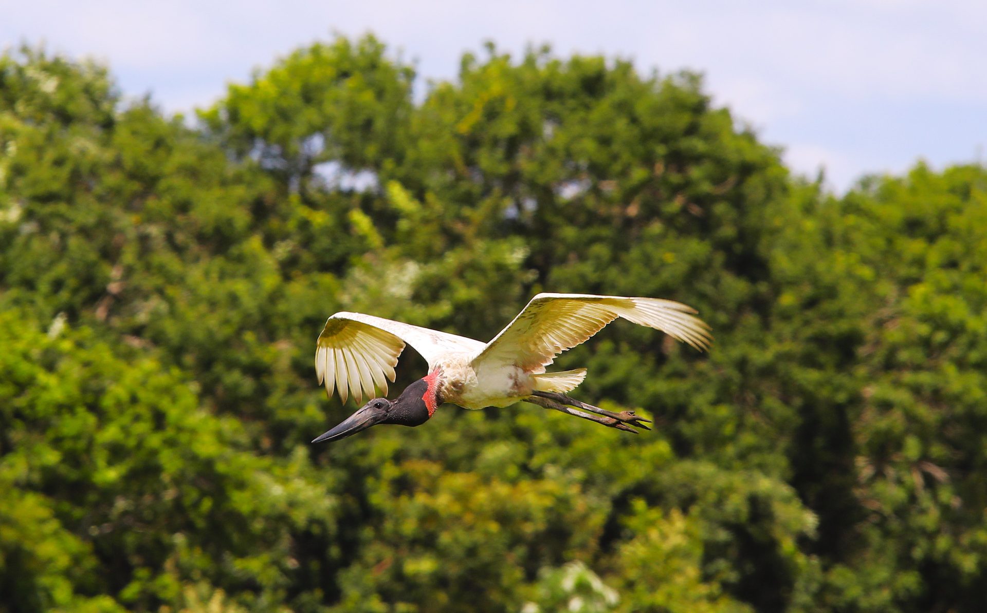 Foto: Reprodução/Secom Mato Grosso do Sul