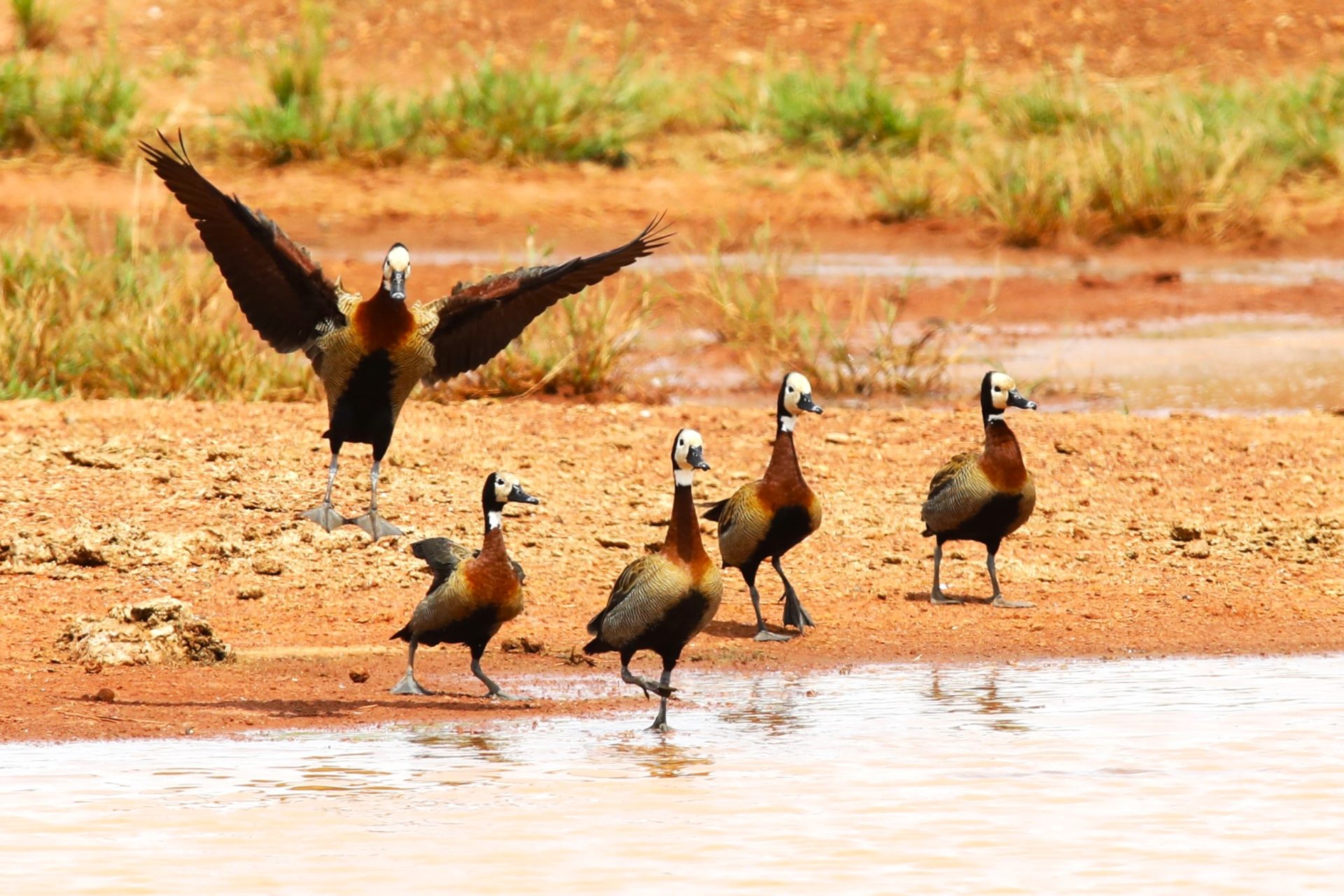 Foto: Reprodução/Secom Mato Grosso do Sul