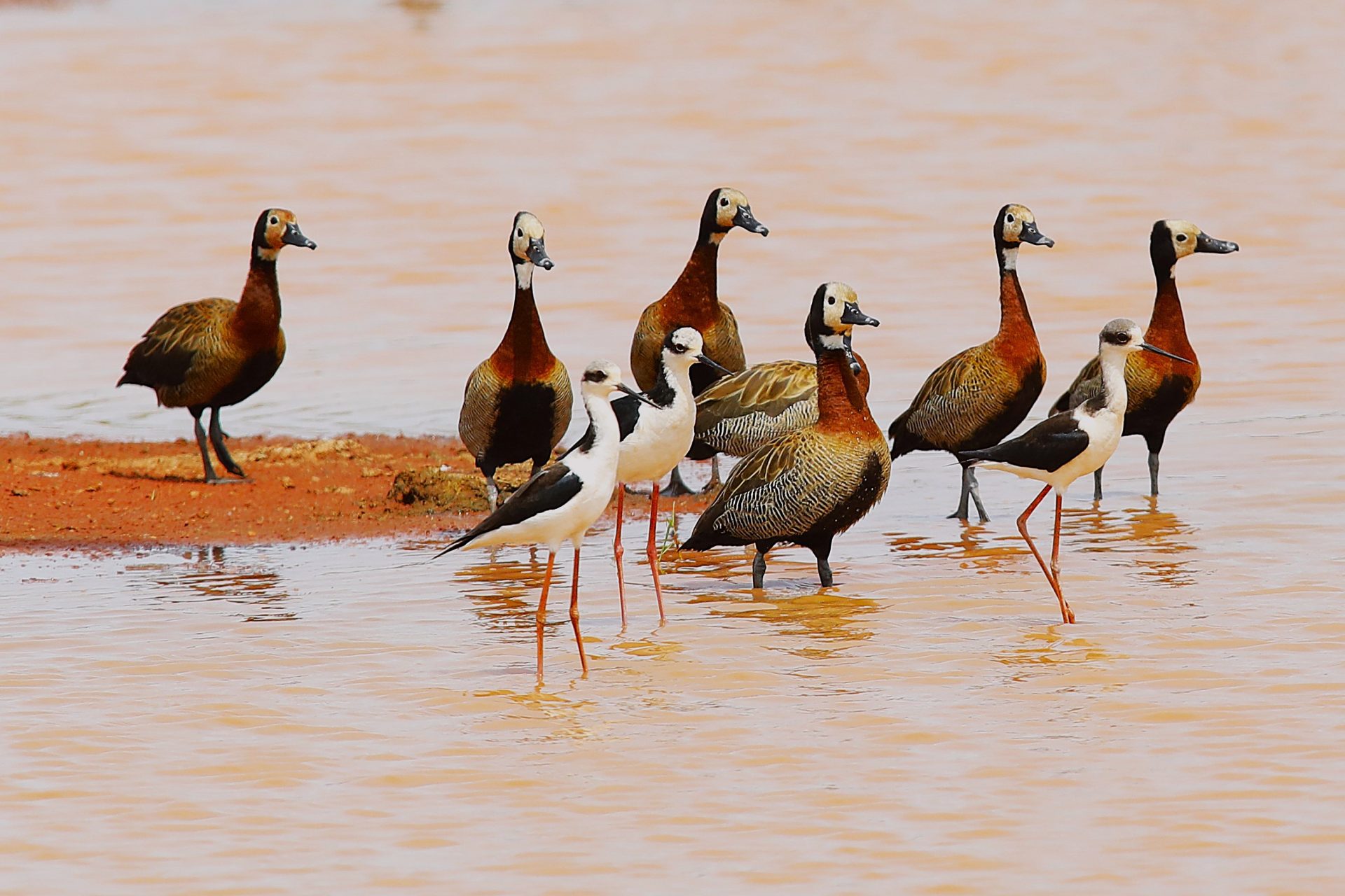 Foto: Reprodução/Secom Mato Grosso do Sul