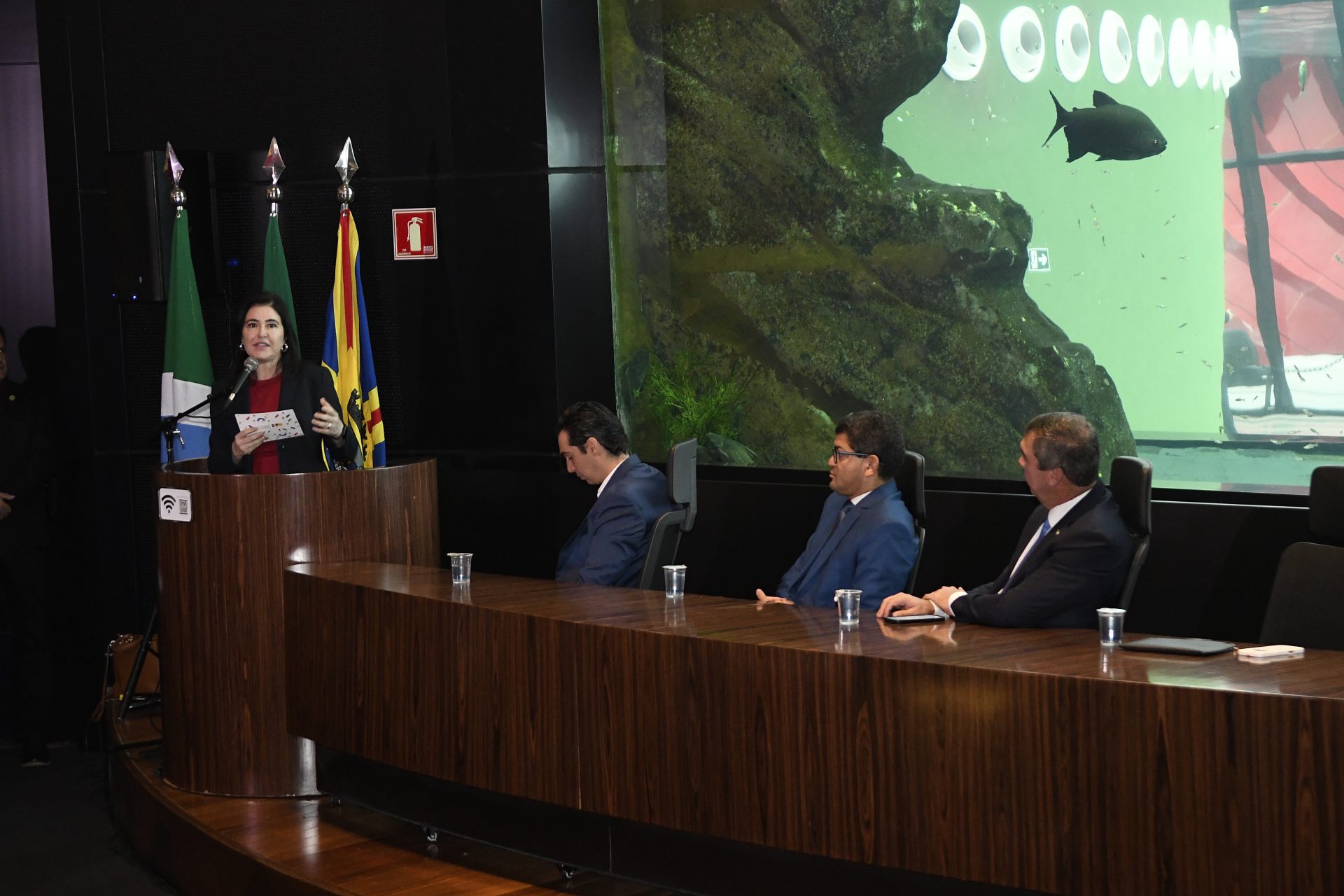 Foto: Reprodução/Secom Mato Grosso do Sul