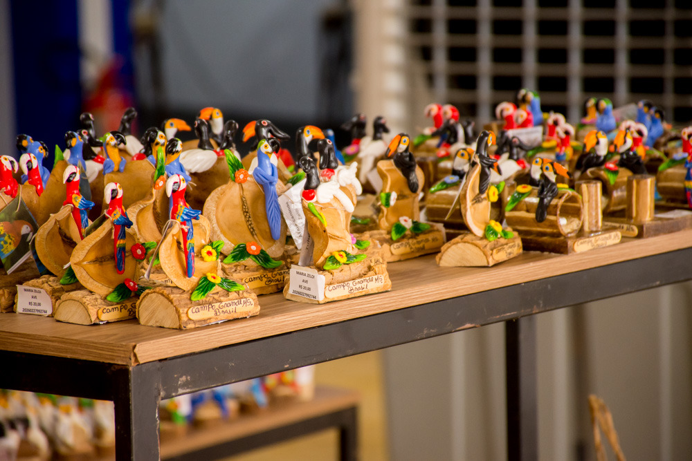 Foto: Reprodução/Secom Mato Grosso do Sul