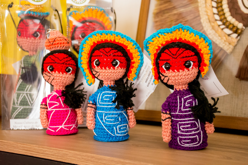 Foto: Reprodução/Secom Mato Grosso do Sul