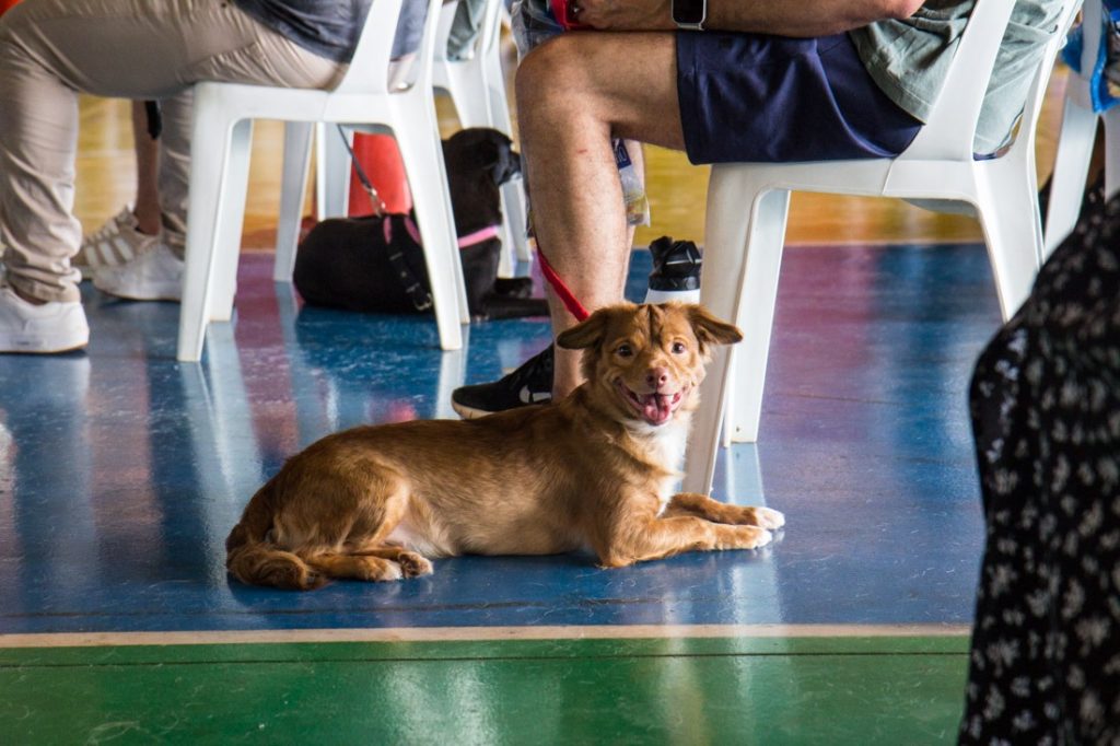 Foto: Reprodução/Secom Mato Grosso do Sul