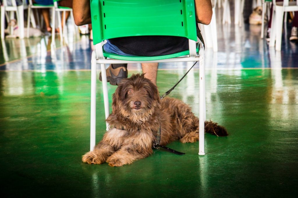 Foto: Reprodução/Secom Mato Grosso do Sul