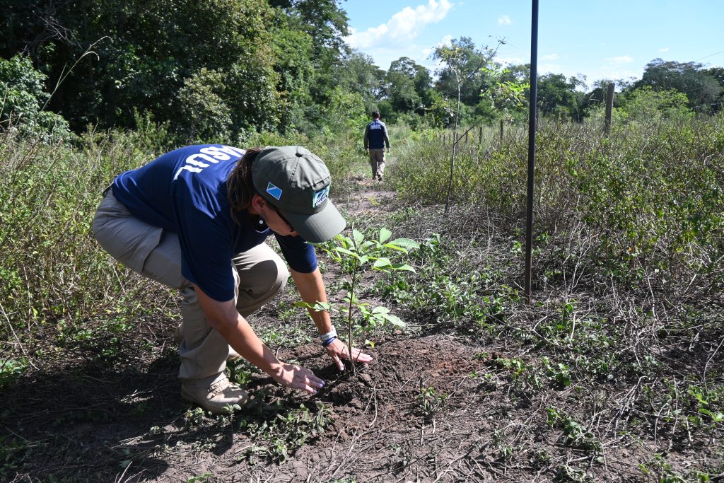 Foto: Reprodução/Secom Mato Grosso do Sul