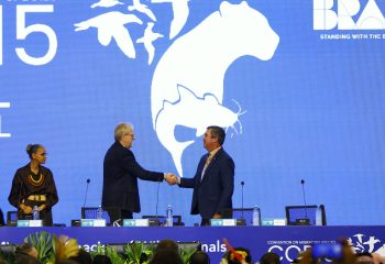 COP 15 Foto Saul Schramm