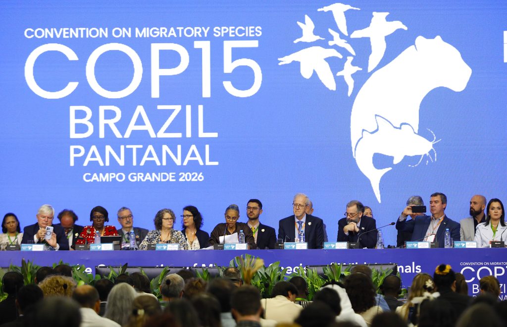 Foto: Reprodução/Secom Mato Grosso do Sul