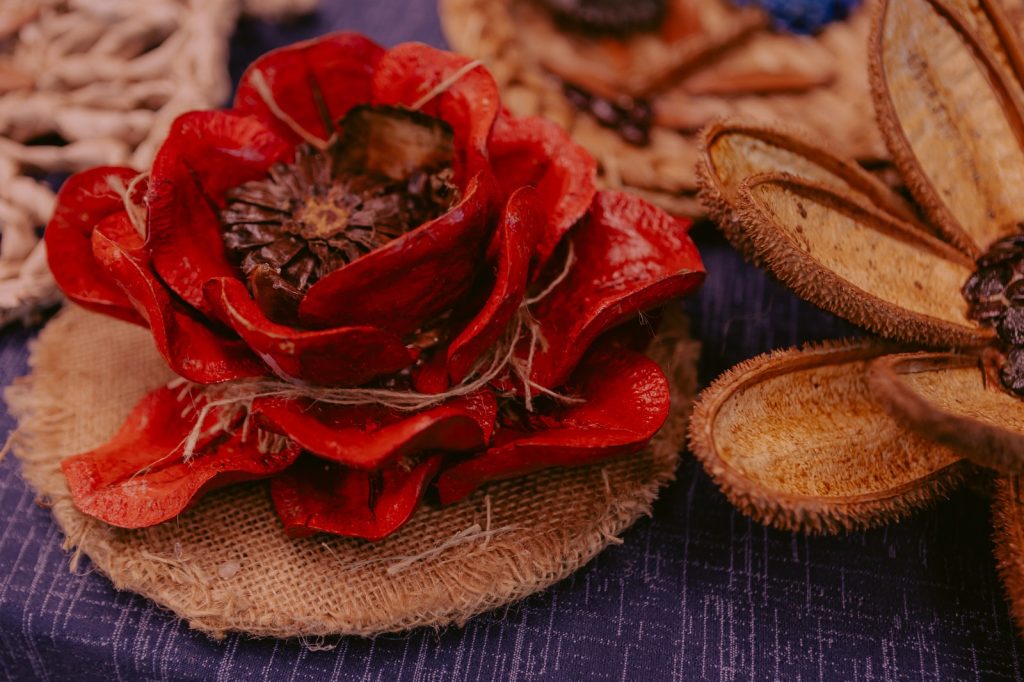 Foto: Reprodução/Secom Mato Grosso do Sul