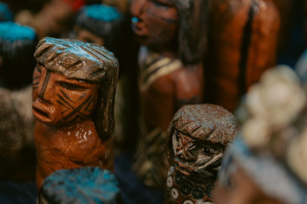 Foto: Reprodução/Secom Mato Grosso do Sul