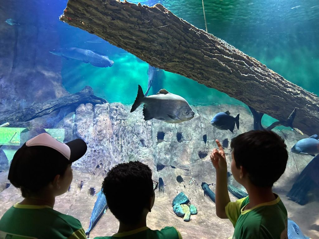 >Estudantes de escolas públicas e privadas conhecem a aprendem a importância de preservar