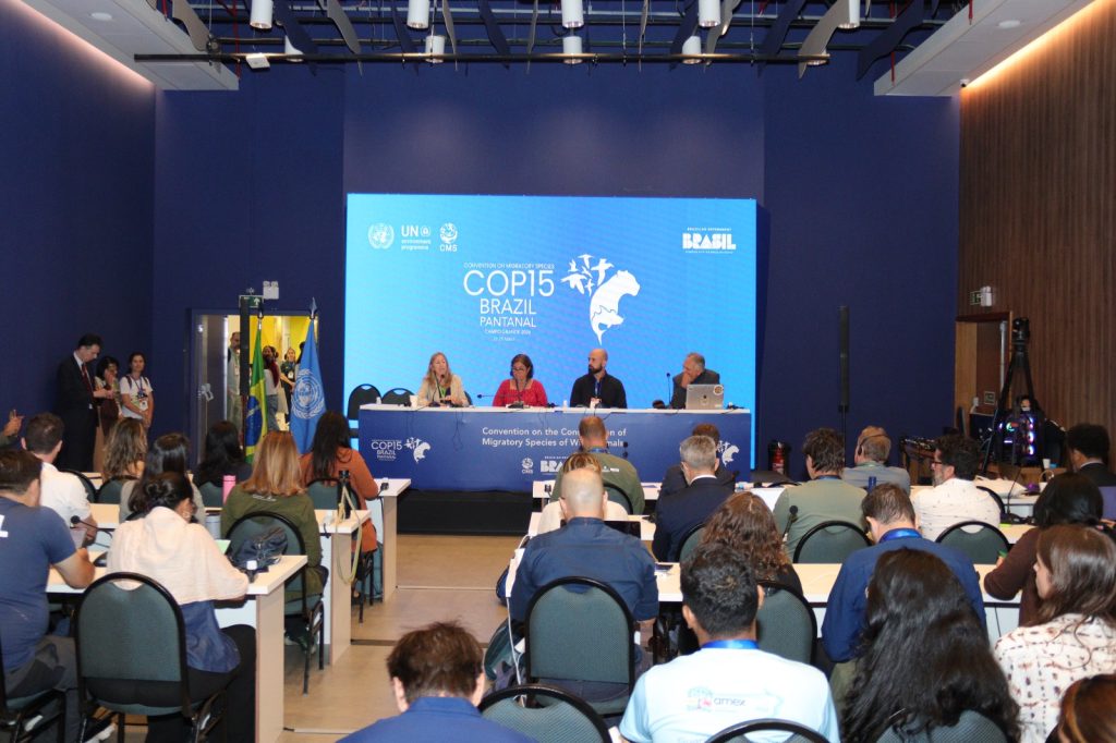 Foto: Reprodução/Secom Mato Grosso do Sul