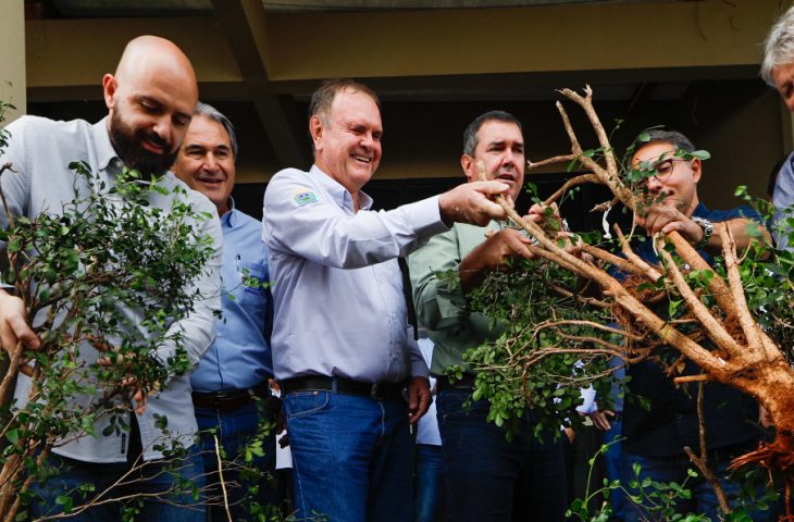 Para fortalecer cadeia produtiva da laranja, Riedel participa de remoção simbólica de murtas na Expogrande Para fortalecer cadeia produtiva da laranja, Riedel participa de remoção simbólica de murtas na Expogrande