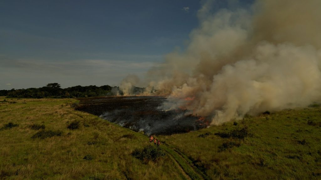 Foto: Reprodução/Secom Mato Grosso do Sul
