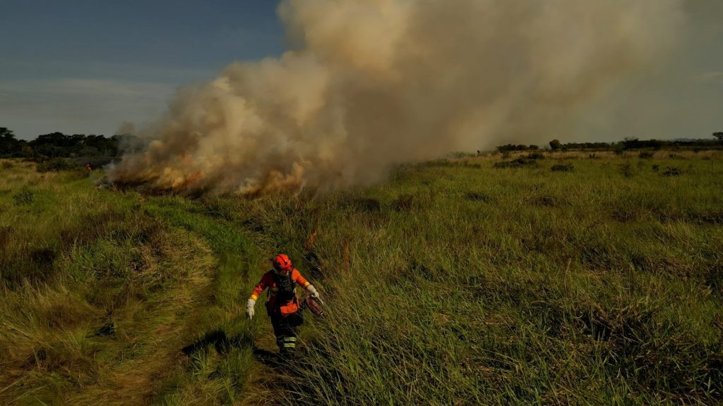 Foto: Reprodução/Secom Mato Grosso do Sul